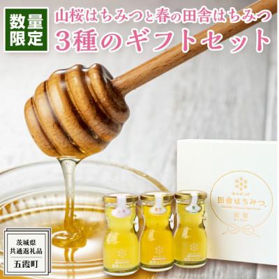 ふるさと納税 牛久市 山桜はちみつと春の田舎はちみつの3種ギフトセット【R3山桜】【茨城県共通返礼品/五霞町】