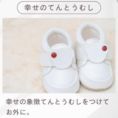 ふるさと納税 尼崎市 てんしのはね(ホワイト) |  | 02