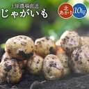 【ふるさと納税】じゃがいも 北あかり 10kg SS～3L サイズ混合 芋 ジャガイモ ポテト キタアカリ オンライン 申請 ふるさと納税 北海道 中標津 野菜 根菜 産地直送 新鮮 採れたて ポテトサラダ コロッケ ポタージュ 10キロ【66004】