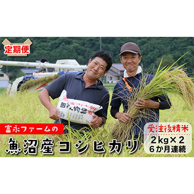【ふるさと納税】富永ファーム【お米定期便/全6回】魚沼産コシヒカリ（精米）4kg（2kg×2） 白米 ご飯 ブランド米 銘柄米 精米したて 新潟県産 直送 主食 炭水化物 複数回 半年 お届け 　お届け：寄附入金月の翌月より発送
