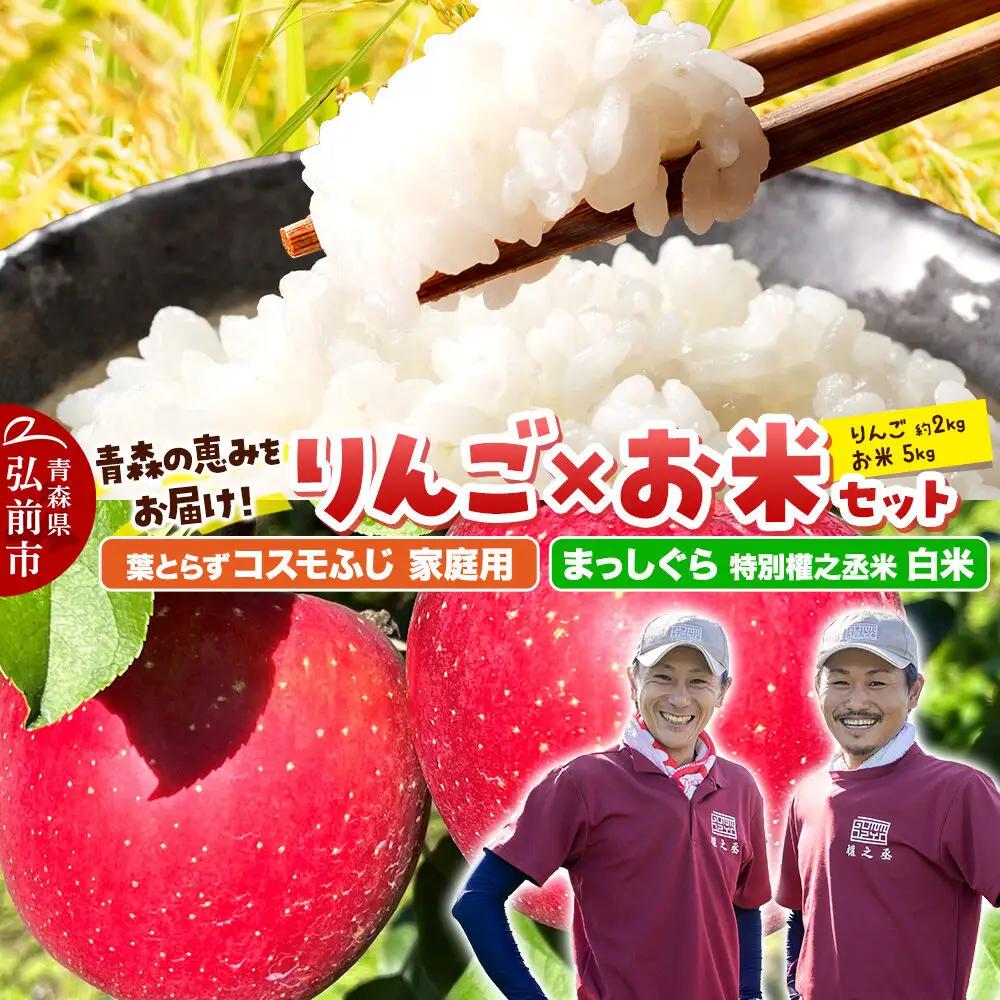 【26年11月中旬発送】りんご×お米セット まっしぐら 特別權之丞米【白米】5kg ＆葉とらず コスモふじ【家庭用】約2kg 先行受付 青森県産 權之丞