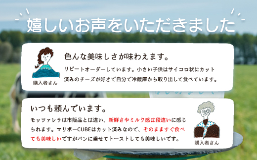 【定期便：全12回】 竹下牧場まるごとチーズセット モッツァレラ 100g×2個 マリボーCUBE 80g×2個 マリボー100g×2個 乳製品 チーズ チーズセット モッツアレラ マリボー 発酵食品