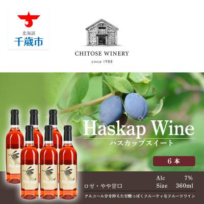 ふるさと納税 千歳市 千歳ワイナリー ハスカップスイート360ml×6本
