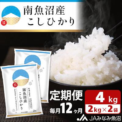 ふるさと納税 南魚沼市 【毎月定期便】南魚沼産こしひかり 精米 4kg(2kg×2袋)全12回