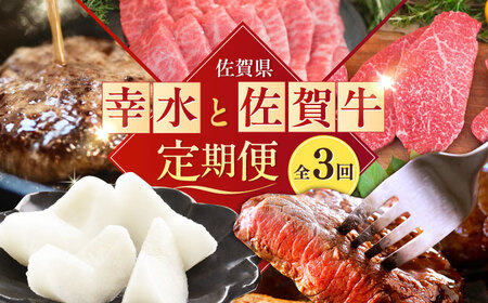 【2026年発送分 先行予約】【全3回定期便】梨（幸水）と佐賀牛定期便 / ステーキ 焼肉 ハンバーグ 梨 和梨 / 佐賀県ふるさと納税 [41AAZZ024]