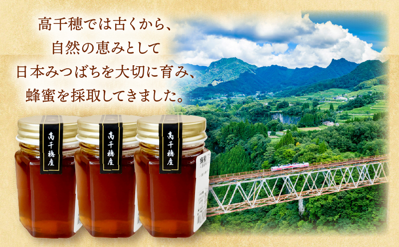 日本みつばち 高千穂の純粋蜂蜜 75g×3本|蜂蜜 はちみつ 日本みつばち 純粋蜂蜜 国産蜂蜜 天然蜂蜜 垂れ蜜 蜜蜂 希少 蜂蜜 濃厚 花 伝統製法 特産品 ふるさと納税 返礼品 宮崎県 高千穂町 