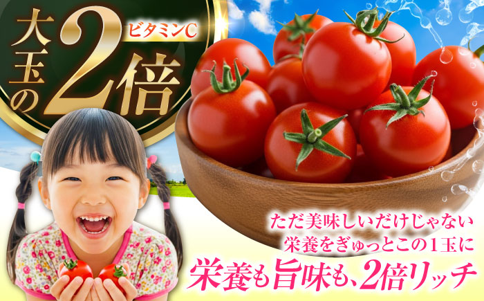 「食の安全」を守りたい！自然を活用した低農薬栽培！ ミディアムトマト 2kg 江田島市/有限会社グリーンファーム沖美 [XAB002]
