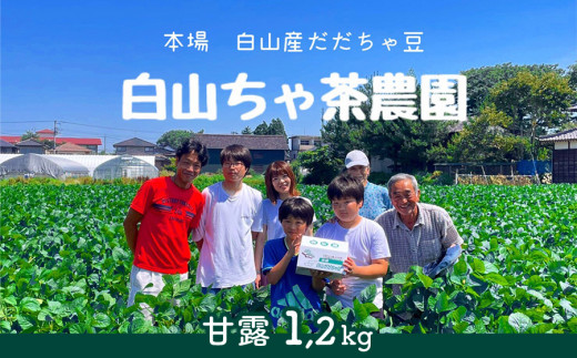 【令和8年産先行予約】山形セレクション認定　だだちゃ豆 「甘露」 1.2kg（600g×2袋）　山形県鶴岡市　白山ちゃ茶農園　K-831　| だだちゃ豆 枝豆 えだまめ 豆 1.2キロ 夏の味覚 おつまみ 旬の野菜 期間限定 名産品 ビールのお供 手土産 山形県 庄内 東北 返礼品