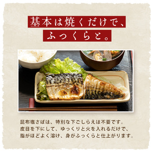 訳あり 昆布塩さば 1kg
