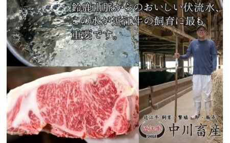 令和4年度 全国肉用牛枝肉共励会 最優秀賞受賞 中川牧場の近江牛サーロインステーキ 2枚/計400g[高島屋選定品] D16 （株）高島屋洛西店 東近江