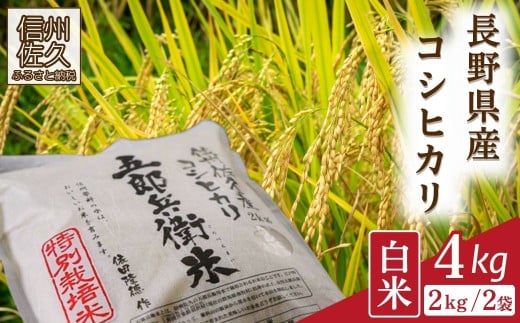 【令和7年産・白米4kg（2kg×2袋）】 特別栽培米　五郎兵衛米  〈2025年9月中旬頃～順次発送〉 先行予約　新米　信州　こしひかり【 長野県 佐久市 】