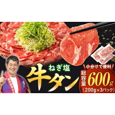 【ふるさと納税】【訳あり】宮古のねぎ塩牛タン 600g 成型肉【配送不可地域：離島】【1690815】