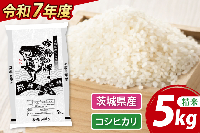 【先行予約 2025年9月より順次発送】 ＜令和７年産＞ 新米 コシヒカリ 5kg 精米 こしひかり 米 ごはん コメ お米 白米 国産 茨城県産