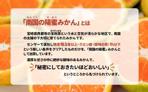 贅沢みかんゼリー詰合わせセット　西都市産「陽蜜みかん」使用＜1.2-5＞果物 くだもの フルーツ デザート おやつ ギフト 宮崎県西都市 入金確認後30日前後で発送