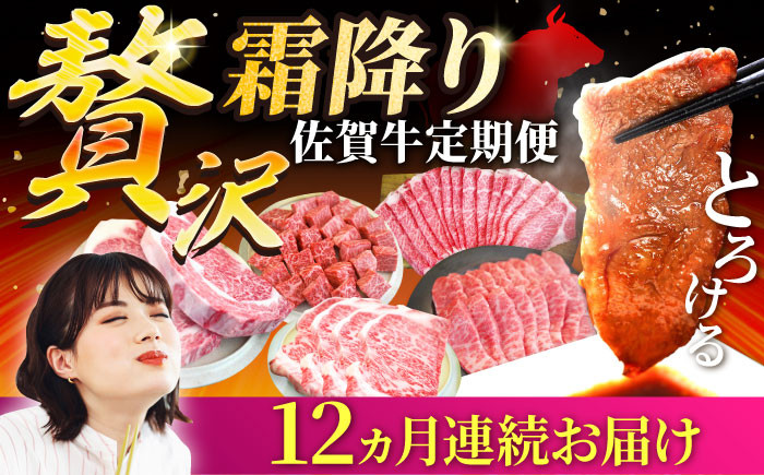 
            【牧場直送】【12回定期便】佐賀牛 贅沢 霜降り 定期便【佐賀セントラル牧場】佐賀県産 牛肉 お肉 肉 霜降り 国産 九州 佐賀県 白石町 [IAH088]
          