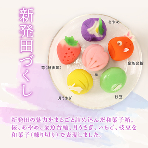 マカロン＆練切り しばたピクニック＆おみやげセット 【 マカロン 練り切り 和菓子 洋菓子 セット sinpo001 】