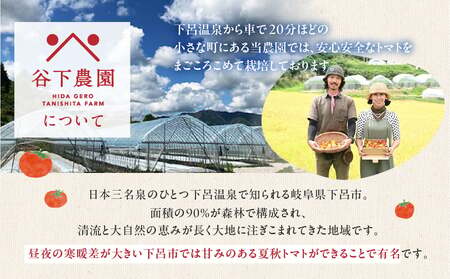 【自家用】≪有機JAS認証≫【飛騨産】大地の恵みがぎゅーっと詰まったトマトジュース（プレーン）180ml×30本 簡易包装 野菜ジュース 飲料 とまと ジュース おすすめ 贈り物 下呂市 谷下農園【6
