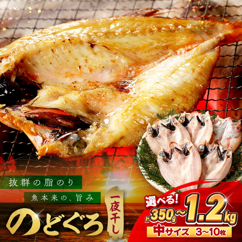【ふるさと納税】【産地直送肉厚ジューシーなのどぐろ！】のどぐろ一夜干し「大人気セット」【350g 550g 800g 1.0kg 1.2kg 】 選べる 内容量 干物 一夜干し セット 詰め合わせ ふるさと納税 のどぐろ