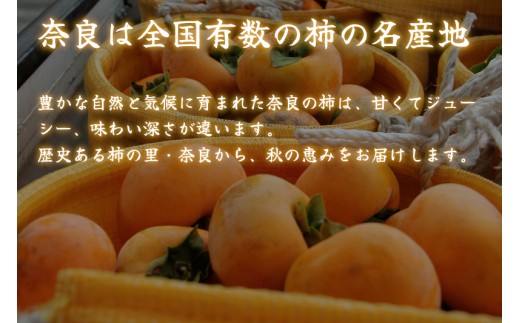 種無し柿（刀根早生柿）約2kg / 奈良県農業協同組合 フルーツ かき 果物  種無し 奈良県 御所市