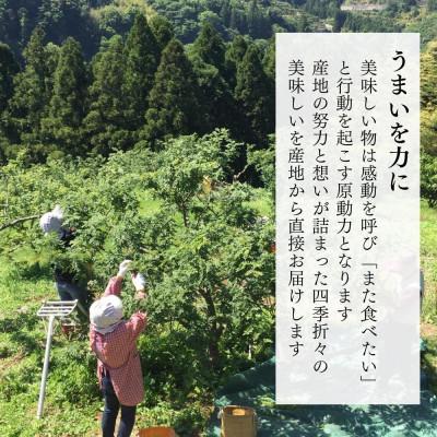 ふるさと納税 有田川町 冷凍山椒 凍ってんじゃ ぶどう山椒 1kg ( 100g × 10袋 ) 和歌山県産 産地直送 |  | 03