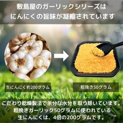 ふるさと納税 宇城市 熊本県宇城市産 にんにくパウダー 【違いを楽しむ3点セット】 各50g(計150g) |  | 01