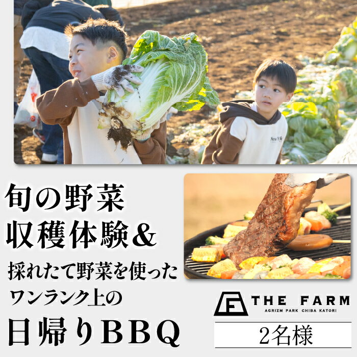 【ふるさと納税】 THE FARMで収穫体験&採れたて新鮮野菜をBBQで食べる贅沢な食体験(2名様)　 TFM006
