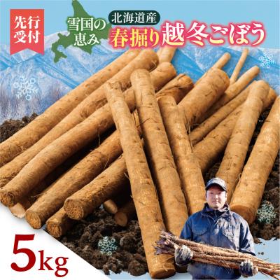 ふるさと納税 清水町 先行受付!2026年4月頃〜発送開始!北海道十勝清水町産 越冬ごぼう! 5kg