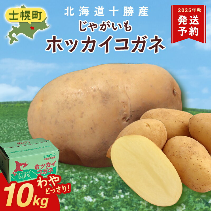 【ふるさと納税】≪25年10月より順次発送≫じゃがいも 10kg 北海道 ホッカイコガネ 北海黄金 北海こがね ジャガイモ 芋 ポテト 北海道 十勝産 大容量 自宅用 家族 お弁当 まとめ買い ギフト 贈り物 お取り寄せ 送料無料 十勝 士幌町 10000円