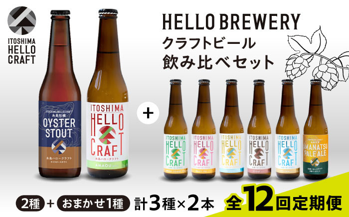 
【全12回定期便】【 3種 飲み比べ 】糸島 クラフト ビール 瓶 詰め合わせ 6本 セット 糸島市 / HELLO BREWERY 地ビール ビール [AGM004]
