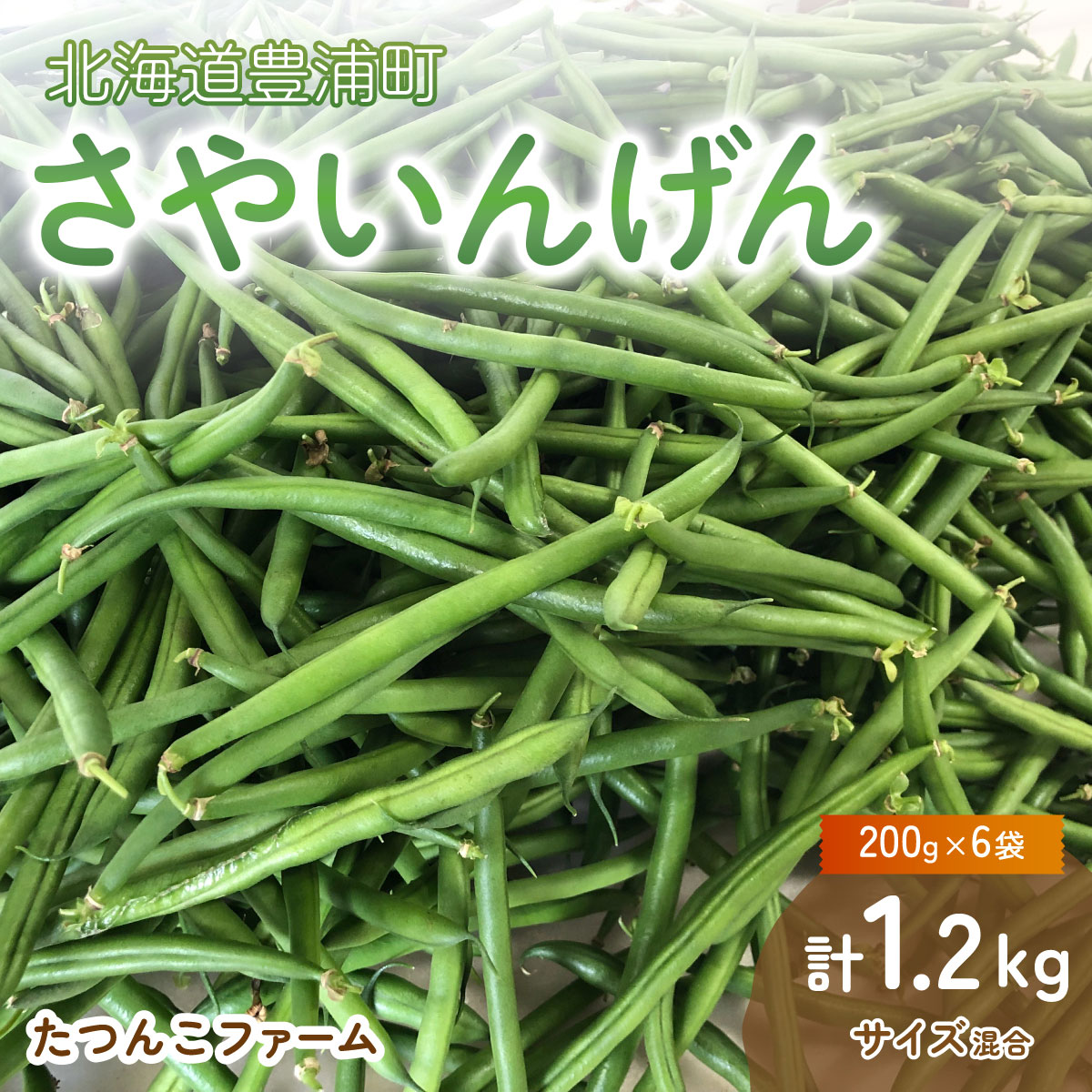 【ふるさと納税】 【2026.7月以降順次出荷】さやいんげん (200g × 6袋) 1.2kg サイズ混合 北海道 豊浦町 【 ふるさと納税 人気 おすすめ ランキング 野菜 根菜 いんげん インゲン国産 バラ 詰合せ 混合 おいしい 美味しい 甘い 北海道 豊浦町 送料無料 】 TYUF001