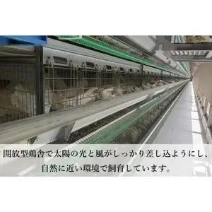 【卵】純国産鶏【さくらともみじ】純たまご 30個入り (AJ031) 鶏卵 食べ比べセット