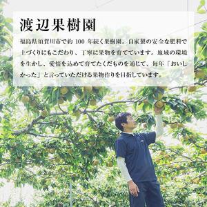 渡辺果樹園の幸水梨　約3kg＜8月中旬～9月上旬にお届け＞ F7X-0162