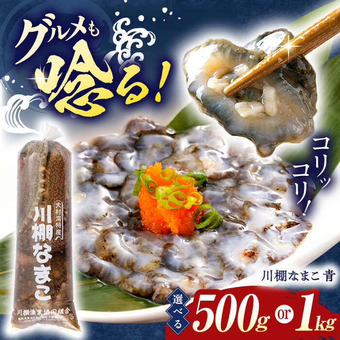 【ふるさと納税】＜今年もやります！川棚イチオシ＞川棚 なまこ 約1kg/500g 選べる容量！※ 2025年12月中旬より順次発送予定【森水産】[OAI001] / コリコリ 食感 おせち 正月 ナマコ 逸品 肴 おつまみ 魚介類 海鮮 冷蔵 九州産 長崎県産 1万円 人気 ポン酢 お取り寄せ グルメ