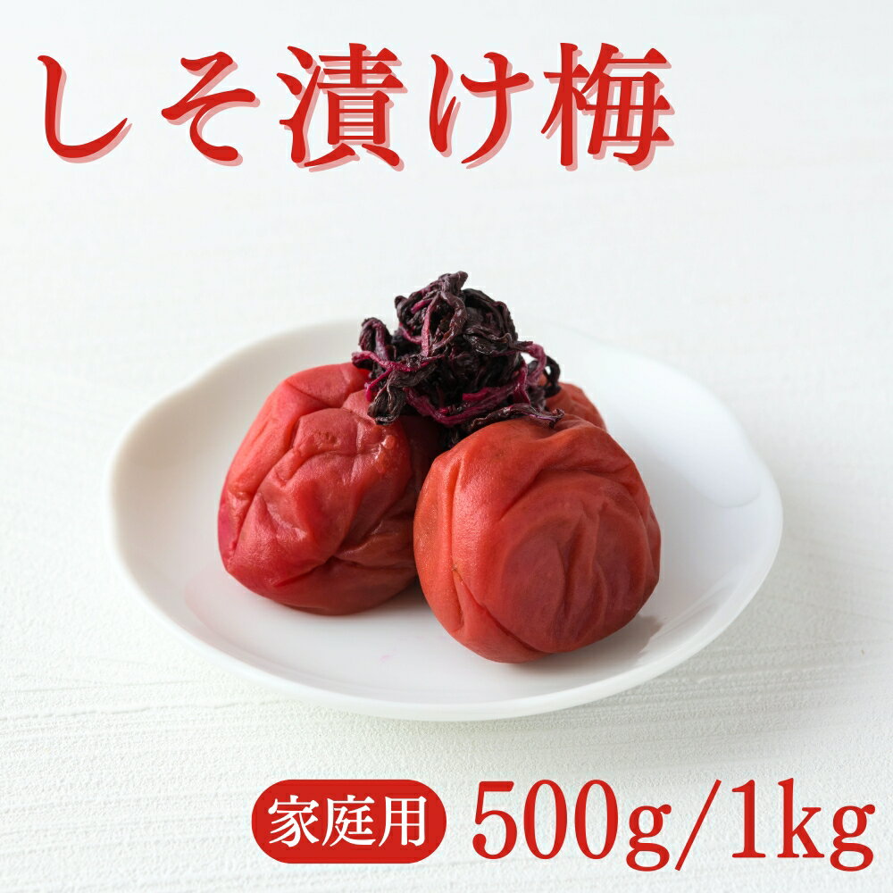 【ふるさと納税】 ご家庭用梅干し　しそ漬け　500g・1kg / みなべ町 梅干 うめぼし ウメ しそ梅 紫蘇漬け 家庭用 紀州南高梅 南高梅 簡易包装 お弁当 おにぎり