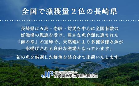 長崎県産 訳あり ヒオウギ貝 約2kg（16～30枚） 詰め合わせ