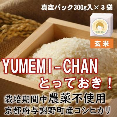 ふるさと納税 与謝野町 令和7年産コシヒカリ　YUMEMI-CHAN とっておき!　玄米300g×真空パック3袋　農家直送