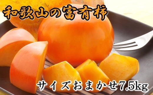 
[甘柿の王様]和歌山産富有柿　約7.5kg サイズおまかせ★2024年11月上旬頃より順次発送【TM5】
