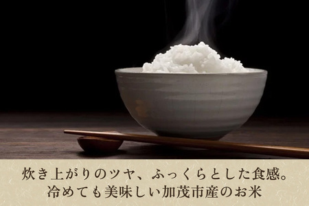 【令和7年産】【定期便6ヶ月毎月お届け】加茂市産コシヒカリ 精米 10kg