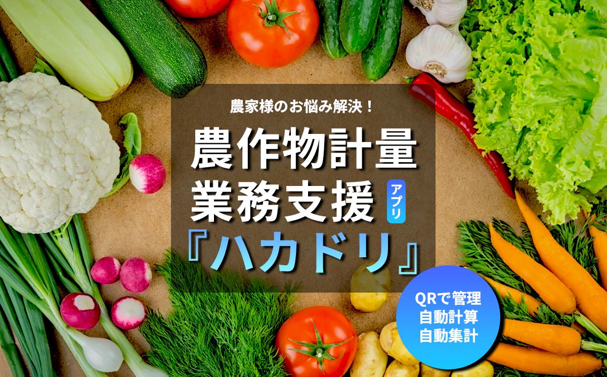 
            計量業務支援アプリ「ハカドリ」【 アプリ 農業 農業支援 野菜 業務効率化 農作物 農家 生産者 茨城県 つくば市 】
          