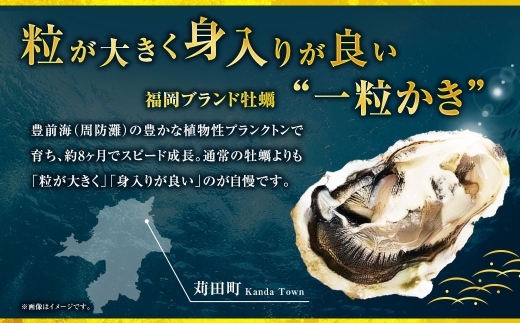 苅田一粒かき 加熱用 小サイズ 約3kg （ 40個以上 ） 牡蠣 一粒かき プリプリ かきフライ 網焼き かき鍋 かき飯  ブランド牡蠣【 2027年1月上旬～2月下旬発送予定 】