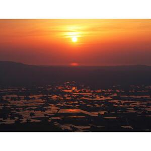グッドデザイン賞受賞　網戸張替シート【散居村の夕日】