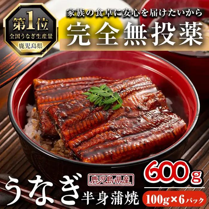 うなぎ 無投薬 鹿児島県産  (100g×6パック) うなぎ【西日本養鰻】A586