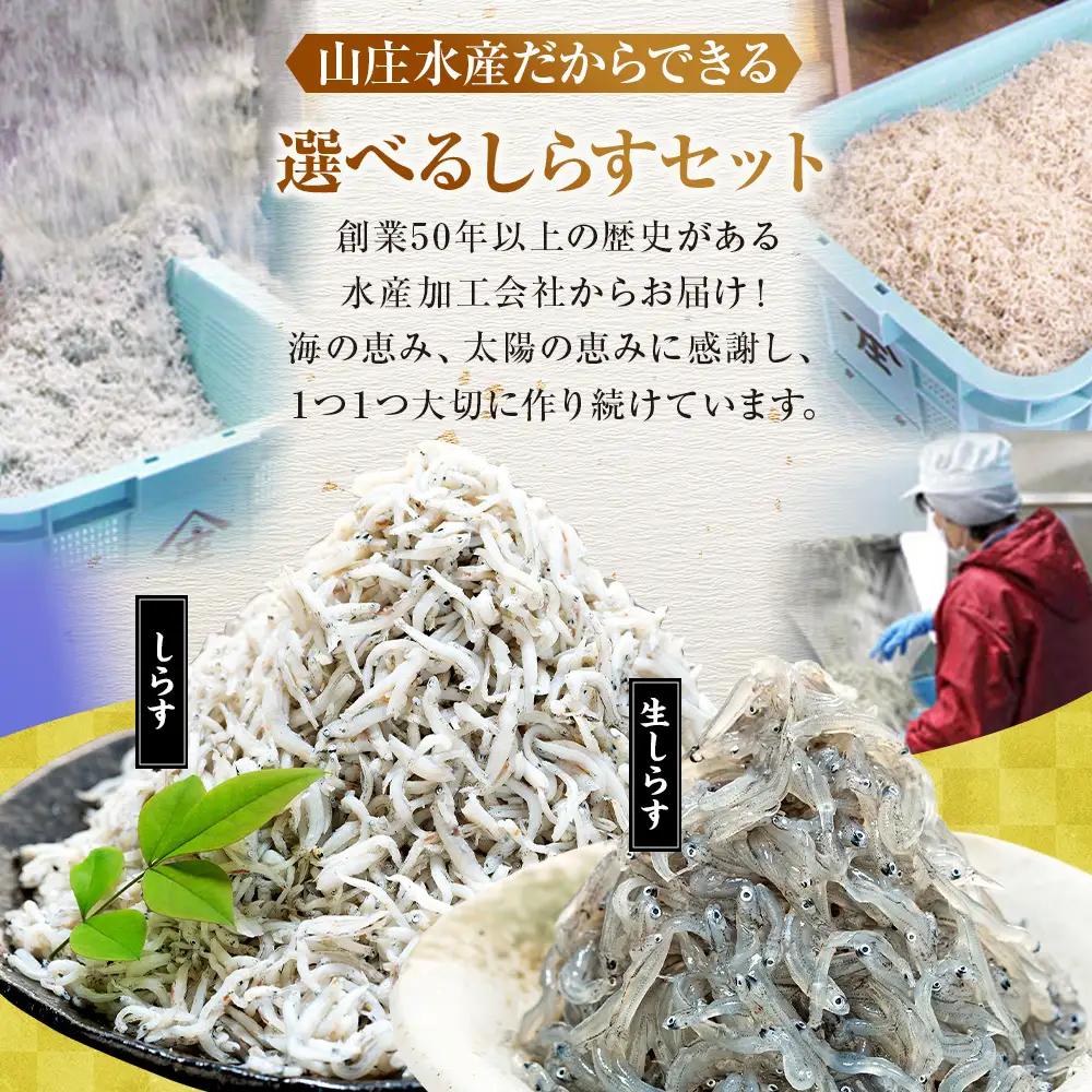 生しらす 200g 訳ありしらす干し 500g 食べ比べセット