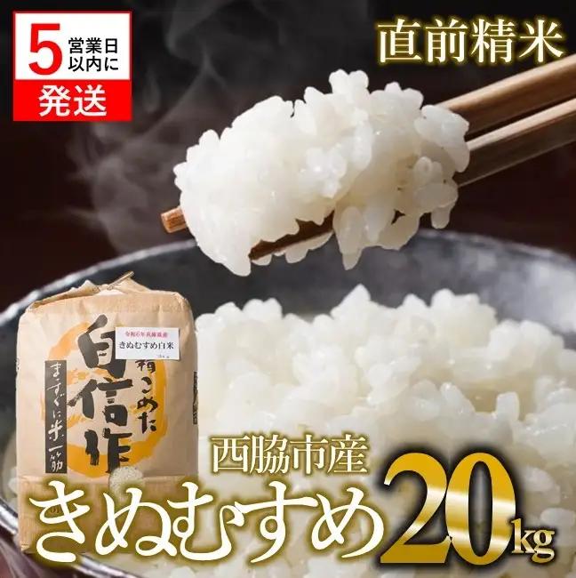 【きぬむすめ】令和7年産 白米20kg【5営業日以内に発送】