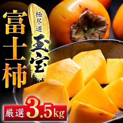 ふるさと納税 八幡浜市 【堂々たる大玉】ずっしり濃密【富士柿】3.5kg　愛媛県産【64-96】