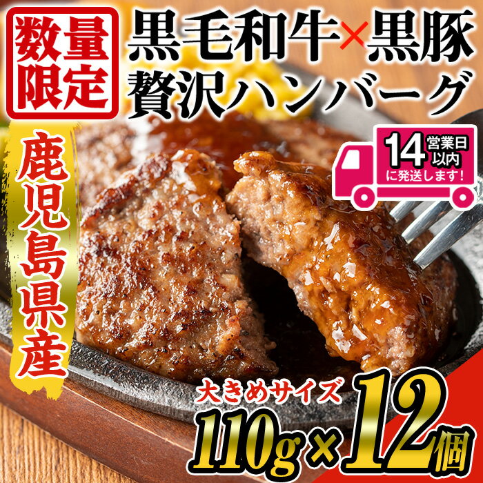 【ふるさと納税】＜数量限定・14営業日以内発送予定＞鹿児島県産黒毛和牛×黒豚使用！お肉屋の贅沢合挽き生ハンバーグ12個(計1.3kg以上) 鹿児島県産 冷凍ハンバーグ 黒毛和牛 和牛 黒豚 肉 合挽き 合いびき ハンバーグ 小分け パック 冷凍【ナンチク】