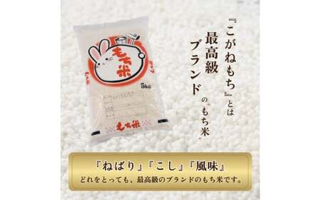 令和5年度産会津喜多方産こがねもち5kg×1袋