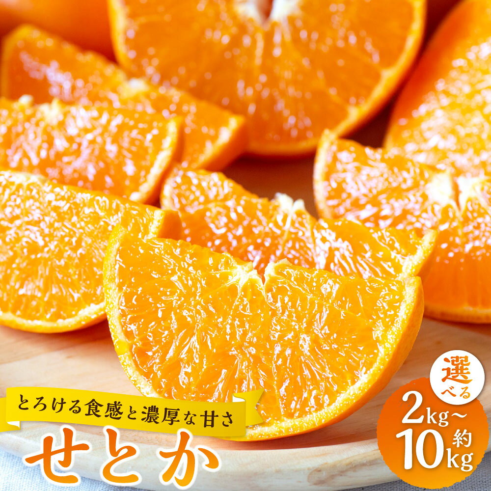 【ふるさと納税】＜選べる内容量＞【とろける食感と濃厚な甘さ】せとか 約2kg / 約3kg / 約5kg / 計約10kg（約5kg×2箱） 柑橘 かんきつ フルーツ くだもの 果物 果実 デザート 国産 愛媛県産 送料無料 【2027年2月上旬～4月下旬発送予定】（1044）（1045）（1046）（1047）
