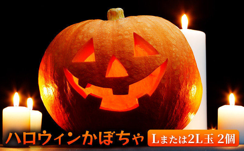
[№5724-0320]＜2024年10月初旬よりお届け＞ハロウィンかぼちゃ Lまたは2Lサイズ玉2個
