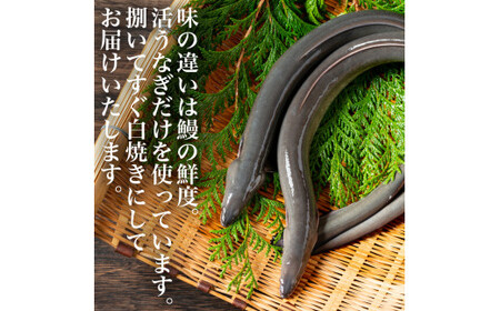 うなぎ 鰻 白焼き鰻 お店の味を楽しめる 国産うなぎセット （うな重3人前）国産鰻  鰻蒲焼 うなぎ蒲焼 ウナギ蒲焼 鰻たれ うなぎたれ ウナギたれ 鰻重 ウナ重 活鰻 活うなぎ 活ウナギ